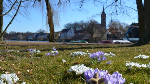 Saisoneröffnung Kurpark