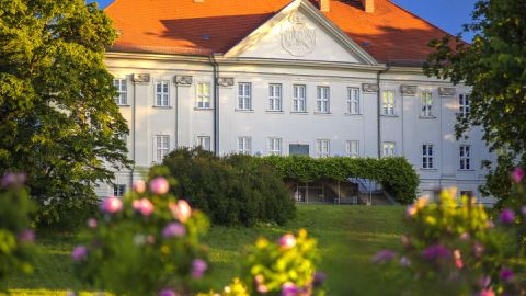 Schloss Hohenzieritz